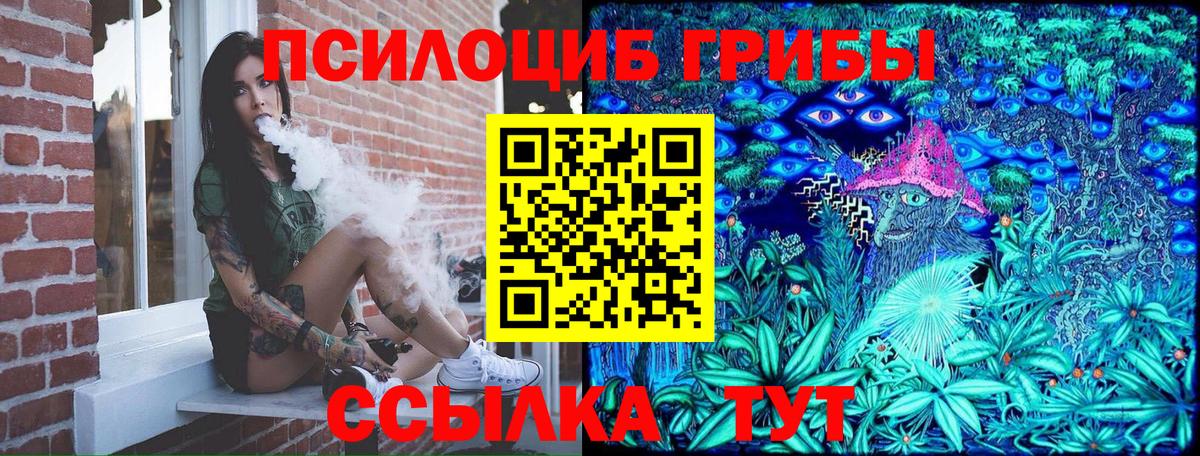 Озёрск  Псилоцибиновые грибы Psilocybe  Псилоцибиновые грибы Psilocybe  Вход с VPN 